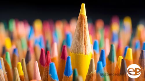 Top những mẫu bút chì màu loại tốt nhất dành cho trẻ em