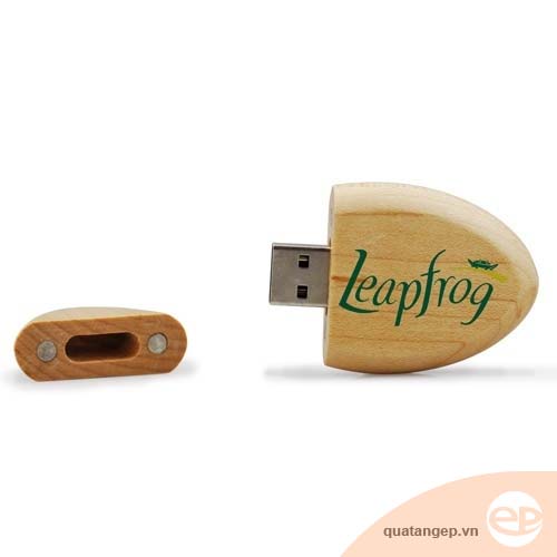 USB gỗ Leapfrog