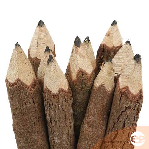 Bút chì thân gỗ